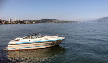 Joda Motorboot Bodenseezulassung voll